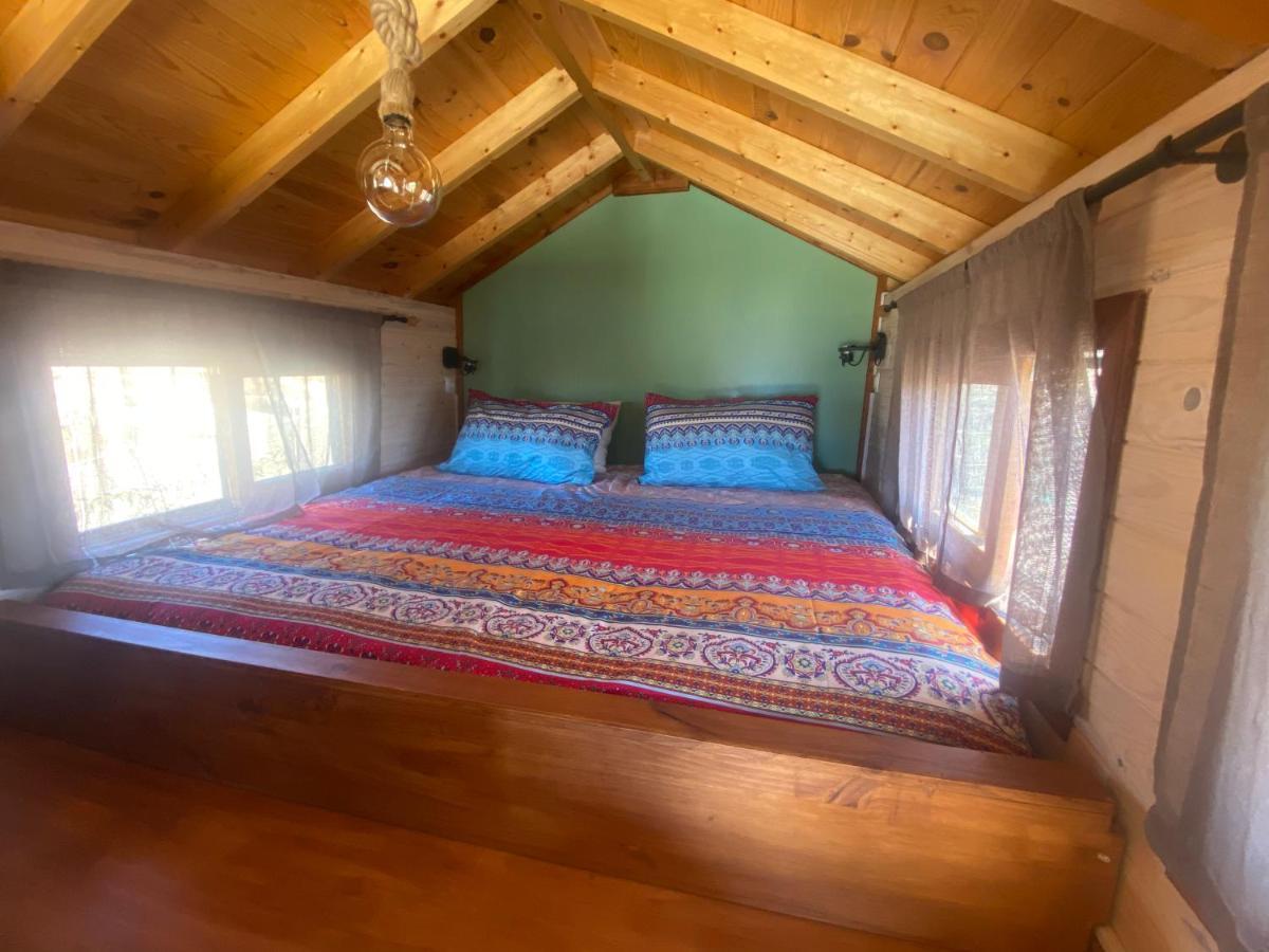 Mini Casa Finca Arcoiris Guía de Isora Esterno foto